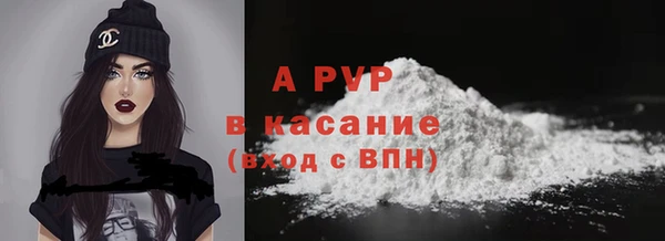 гидра Коряжма