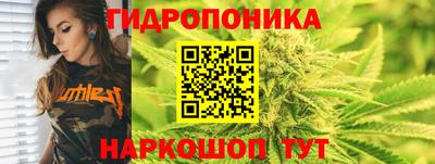спиды Лесосибирск